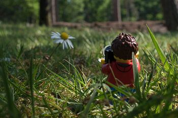 Lars maakt foto van madeliefje