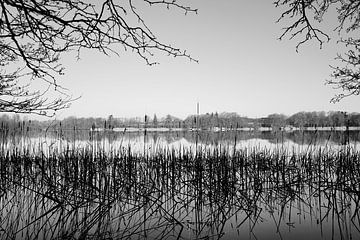 Waterreflectie bij het meer van Heiko Westphalen