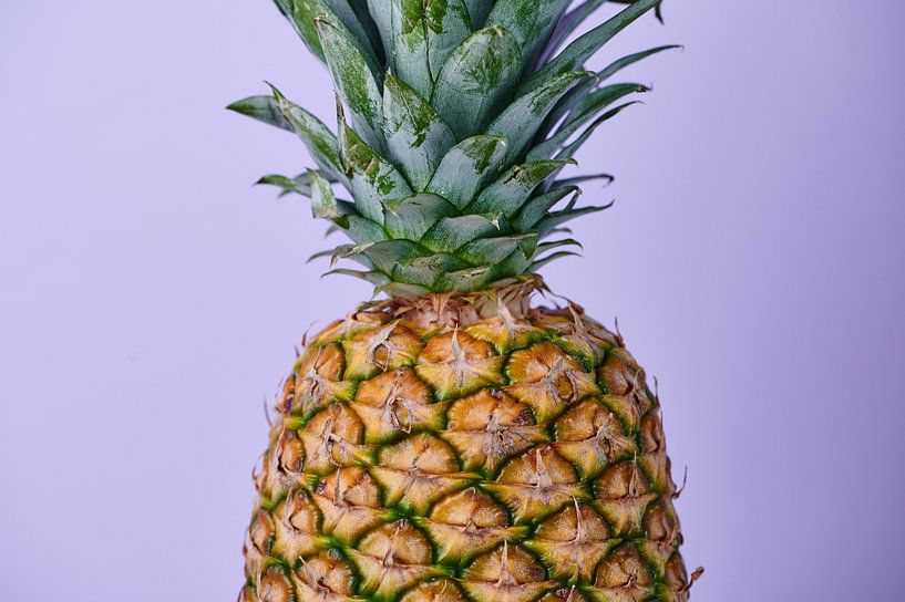 Ananas avant le violet par C. Nass