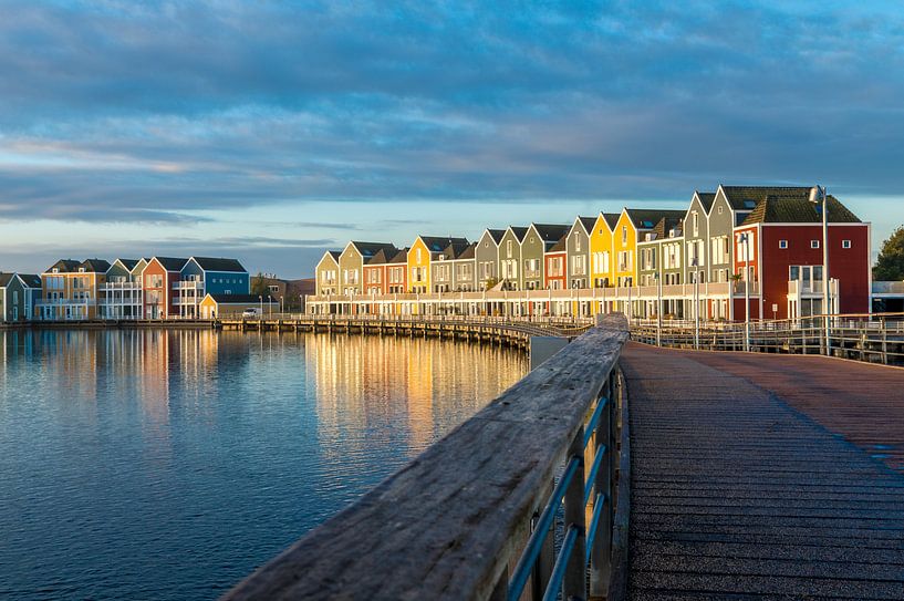 Kleurrijke Houtense huisjes par Erwin van den Berg