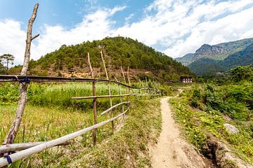 Zicht op een vallei in een berglandschap in Centraal Bhutan, Azië van WorldWidePhotoWeb