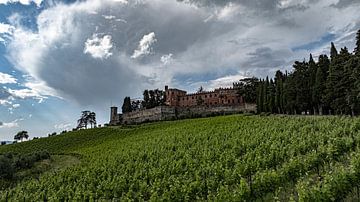 Betoverend Toscane: Het Castello di Brolio en de Prachtige Wijngaarden van Chianti van Lennart van Wallenburg