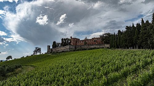 Enchanting Tuscany: The Castello di Brolio and the Beautiful Vineyards of Chianti