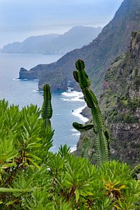 Uitzicht op de kust van Madeira