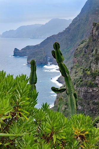 Uitzicht op de kust van Madeira
