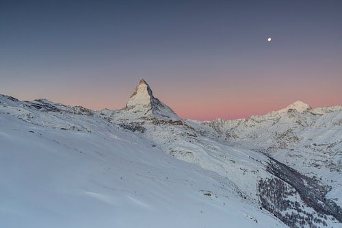 Alpenglühen während dem Sonnenaufgang im Winter am Walliser Matterhorn