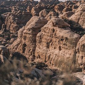 Jordan | Dana | Nature Reserve by Sander Spreeuwenberg