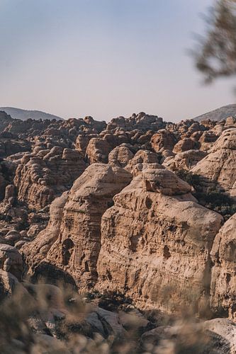 Jordanien | Dana | Naturschutzgebiet von Sander Spreeuwenberg