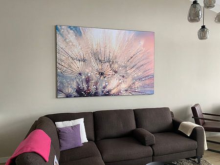 Paardenbloem mystiek - Mystical Dandelion