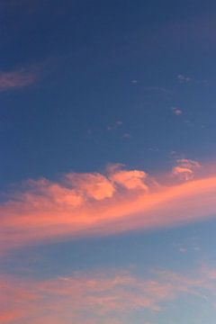 Kleurrijk roze wolken in de blauwe lucht | Zuid-Holland  | Nederland | Reisfotografie print van Kimberley Helmendag