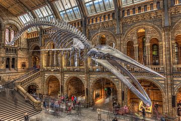 Natural History Museum Londen van Rene Ladenius Digital Art