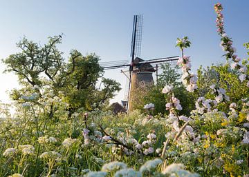 Molen in lentesfeer van Paul Begijn