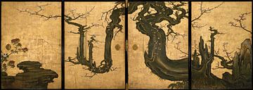 Oude pruim, Kano Sansetsu - 1646