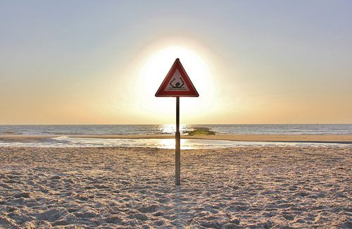Texel Zeezicht 043