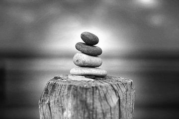 Zen Stone (zwart-wit) van Rob Blok