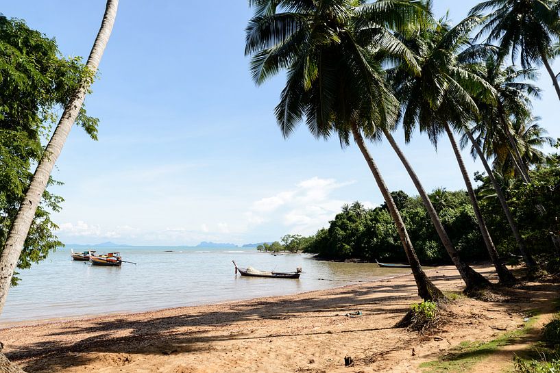 Tropical Thailand by Ingeborg van Bruggen