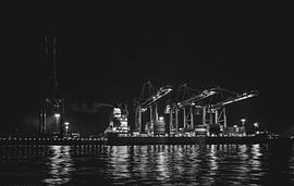 Hamburg Parkhafen, Waltershofer haven