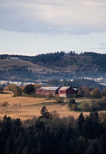 The idyllic, picturesque countryside just outside the Norwegian city of Trondheim, surrounded by mountains and nature.