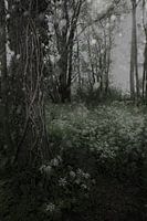 Winter is coming