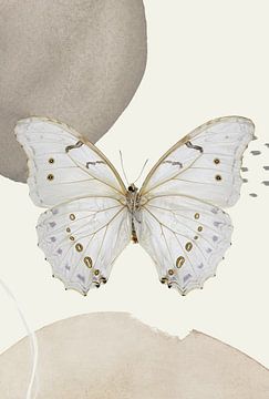 Schmetterling Erde Pastell - Malerei von William Bos