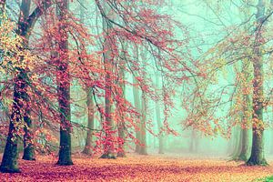 Märchen Herbst von Lars van de Goor