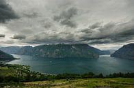 Aurlandsfjorden - Noorwegen van Ricardo Bouman thumbnail
