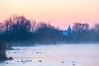 Langs de IJssel by Evert Jan Kip thumbnail