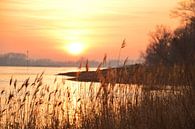 Zonsondergang in Herwijnen van Marije van der Vies thumbnail