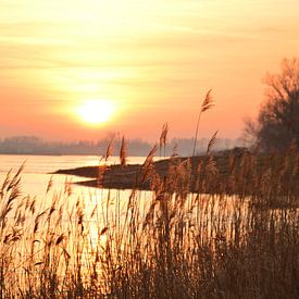 Zonsondergang in Herwijnen van Marije van der Vies