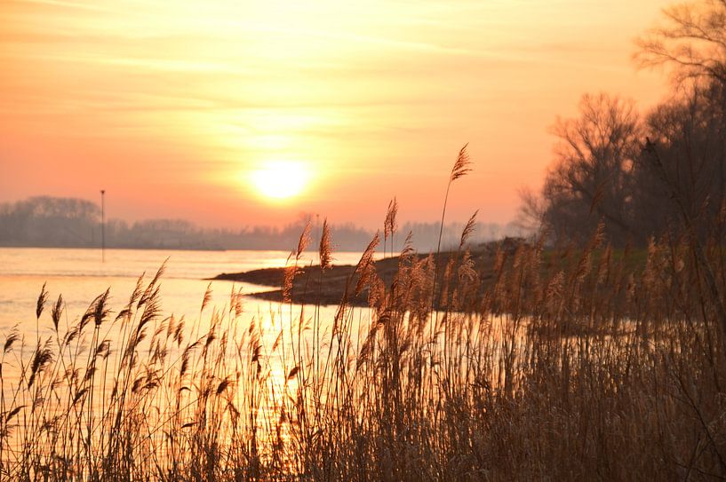 Zonsondergang in Herwijnen van Marije van der Vies