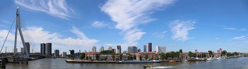 Skyline Rotterdam von Valerie de Bliek