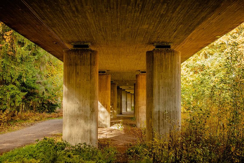 Unter der Brücke – Betonpfeiler im Herbstlicht von Brave Toaster Photos