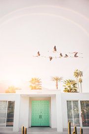 Flamingos In Palm Springs by Kathrin Pienaar