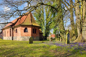 Crocus in Flower in Front of the Medieval Church by Gisela Scheffbuch