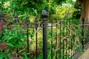 Belle clôture vert foncé avec un jardin de fleurs derrière
