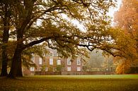 Castle de Wiersse in autumn by Ada Zyborowicz thumbnail