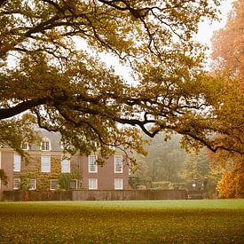 Kasteel de Wiersse in de herfst van Ada Zyborowicz