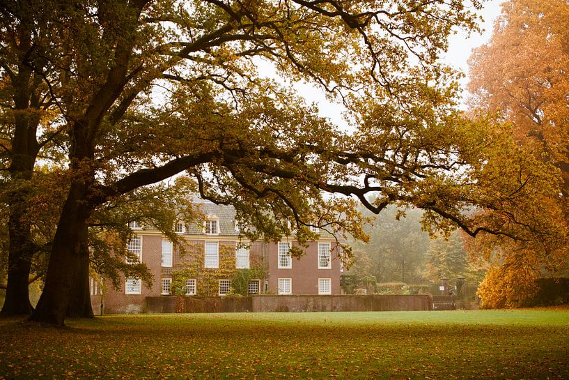 Castle de Wiersse in autumn by Ada Zyborowicz