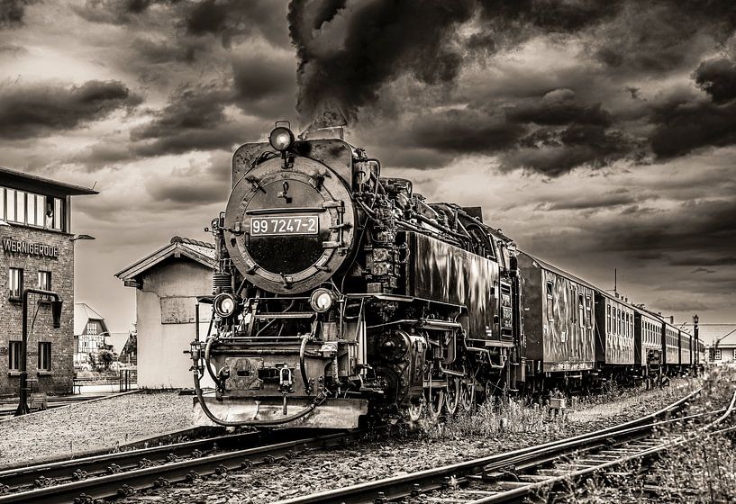 Smalspoorbaan in de Harz van Ria Overbeeke