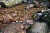 Felsen im Wasser