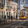 Tramway 28 in Alfama - Lisbon IV by Teun Ruijters