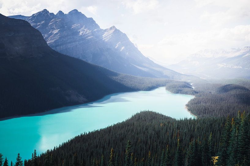 Peyto Lake | Kanada | Rocky Mountain | Banff | Reisefotografie von Laura Dijkslag