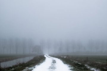 Lichtend pad in de mist van Wouter Bos