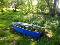 Le bateau bleu