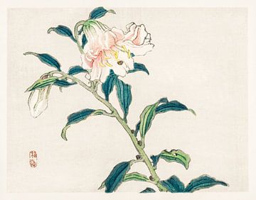 Lely door Kōno Bairei