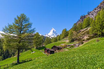 Idyllic Swiss landscape overlooking the Matterhorn