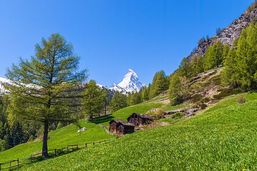 Idyllische Schweizer Landschaft mit Blick auf das Matterhorn