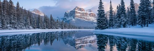 Winterlandschap reflectie