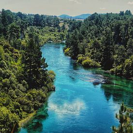 Rivière Waikato, Taupo, Nouvelle-Zélande sur Malou Roos