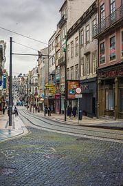 Santa Catarina, Porto